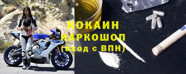 мдпв Осташков