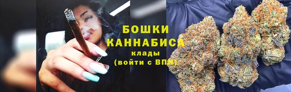 мдпв Осташков